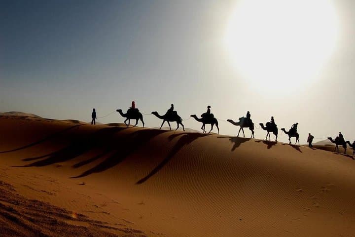 Zagora to Erg Chigaga: Full-Day Desert Tour with Camel Ride & Tamgroute Library photo 3