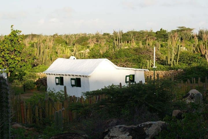 Arikok Adventurous Hiking Experience: Ranger-Led Trails in Aruba photo 5