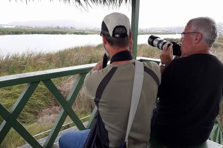 Pantanos de Villa Wildlife Refuge: Miraflores Birdwatching Tour in Lima