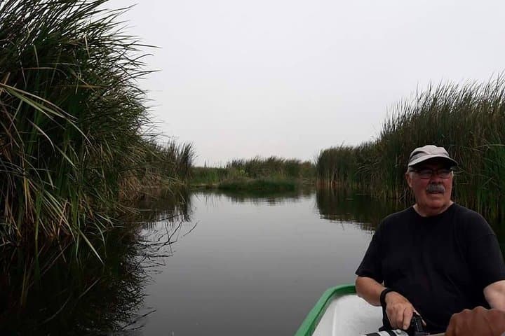 Pantanos de Villa Wildlife Refuge: Miraflores Birdwatching Tour in Lima photo 4