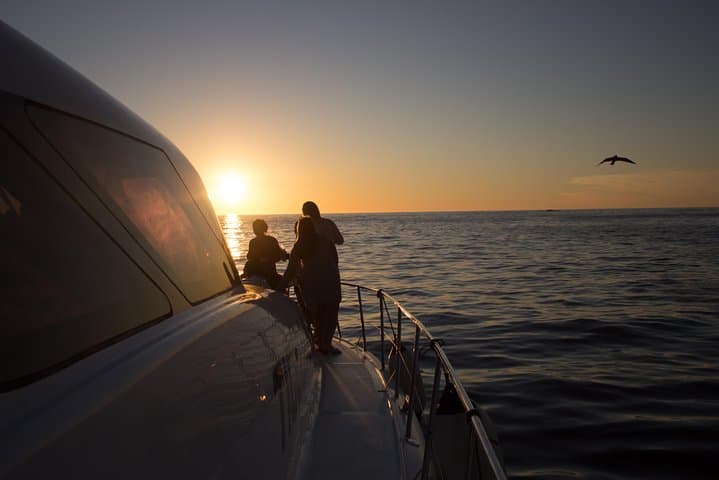 Cape Town Sunset & Champagne Cruise on Tigger 2 — Clifton to Table Bay photo 2