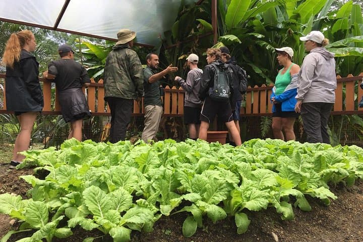 Quepos Local Flavor Cooking Experience: Farm-to-Table Cooking Class & Market Tour photo 3