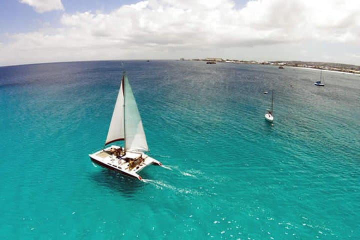 Barbados Catamaran Turtle Snorkel: Three-Hour Sail, Snorkel & Open Bar photo 4