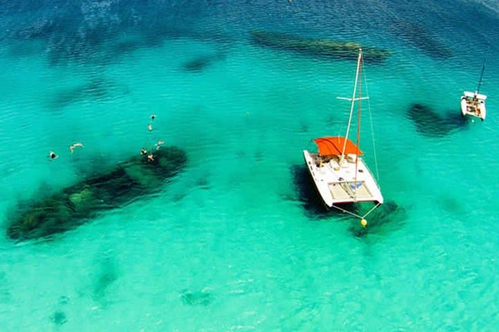 Sail and Snorkel: Barbados Catamaran Turtle Cruise with Lunch and Open Bar photo 6