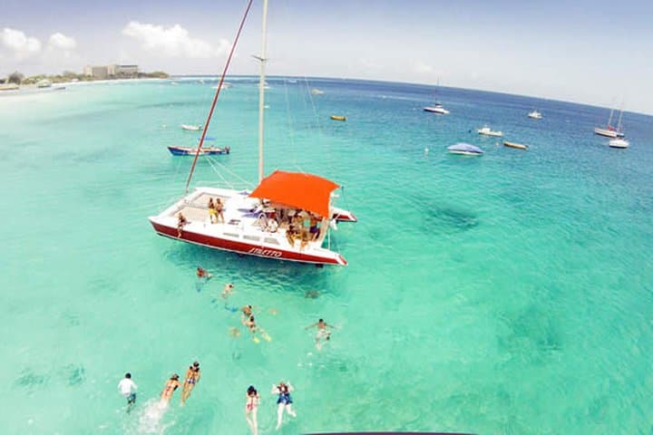 Barbados Catamaran Turtle Snorkel: Three-Hour Sail, Snorkel & Open Bar photo 6