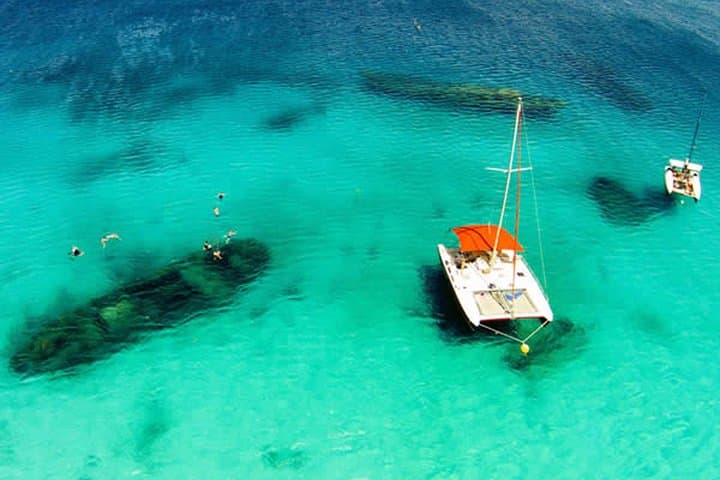Barbados Catamaran Turtle Snorkel: Three-Hour Sail, Snorkel & Open Bar photo 5