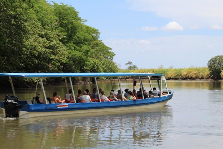 Jungle Cruise on the Tempisque River: Palo Verde Wildlife & Wetlands Experience photo 2