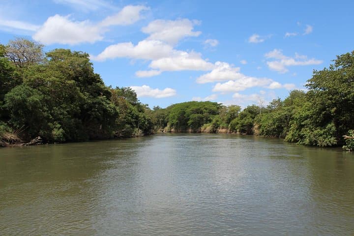 Jungle Cruise on the Tempisque River: Palo Verde Wildlife & Wetlands Experience photo 4
