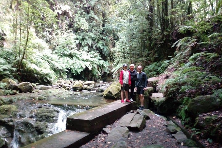 Levada do Rei Guided Hike: 10 km Through Madeira’s Laurisilva photo 3