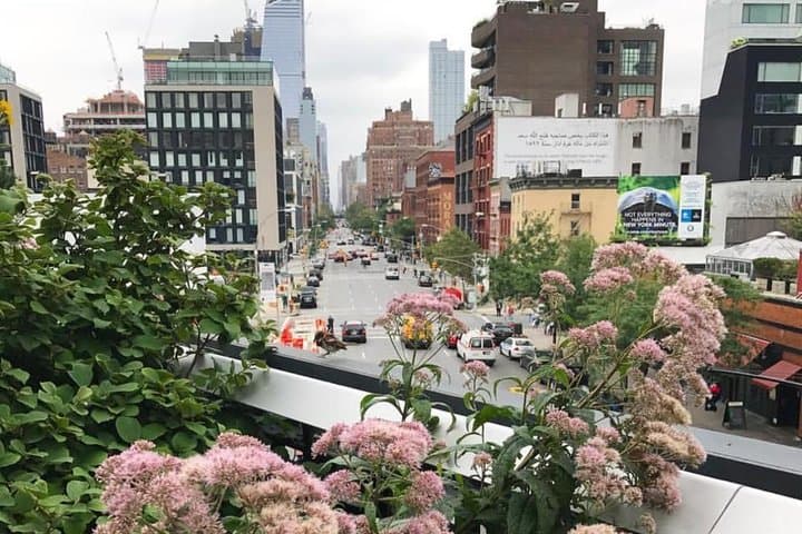 Meatpacking District, Chelsea Market & High Line Semi‑Private Walking Tour — NYC Neighborhood History, Food & Architecture photo 3