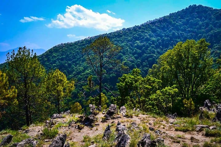 Jamacho Hill Hike: Shivapuri Nagarjun Day Trek from Kathmandu photo 4