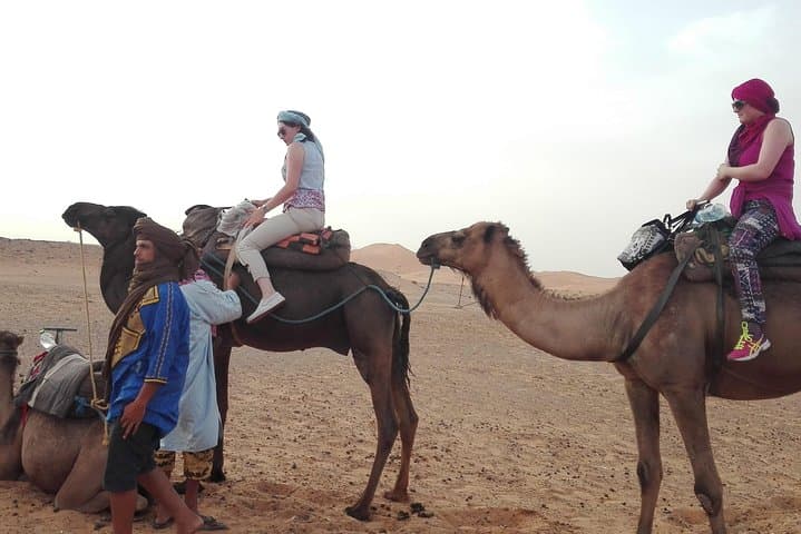 Seven-Night Sahara Caravan Road — Merzouga to Marrakech photo 3