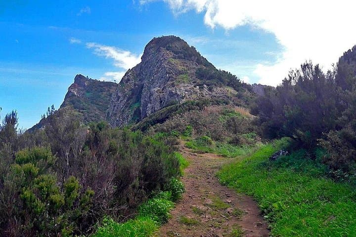 Larano Mountain & São Lourenço Cliff Walk — Full-Day Coastal Hike (12 km) photo 3