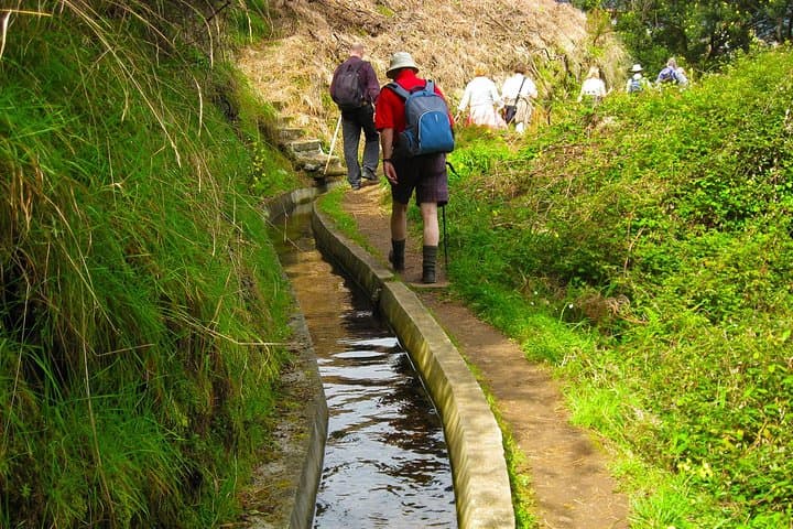 Referta Castelejo Levada Walk from Funchal — Easy 5.5 km Levadas & Coastal Views photo 5