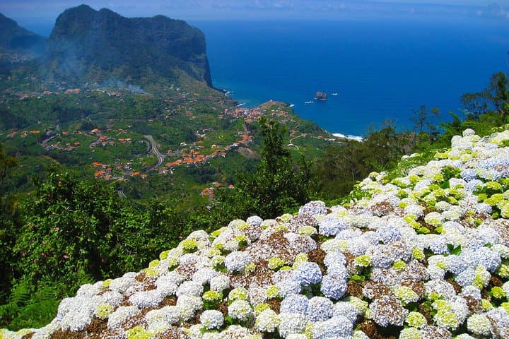 Referta Castelejo Levada Walk from Funchal — Easy 5.5 km Levadas & Coastal Views