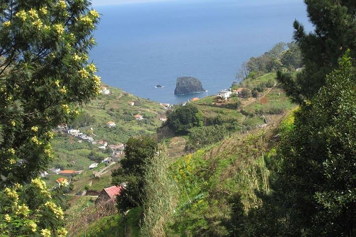 Referta Castelejo Levada Walk from Funchal — Easy 5.5 km Levadas & Coastal Views photo 6