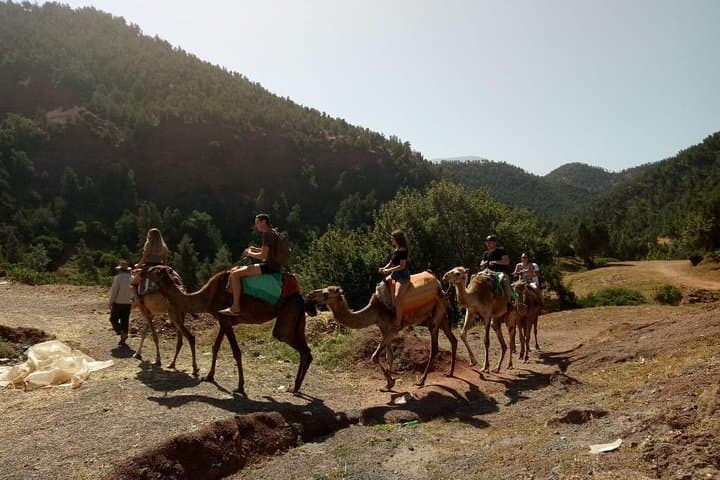 Three Valleys Atlas Day Trip: Berber Villages, Waterfalls & Camel Ride from Marrakech photo 4