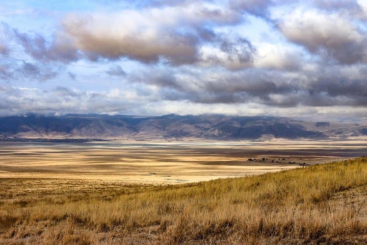 Ngorongoro Crater Game Drive: Full-Day Safari from Arusha photo 3