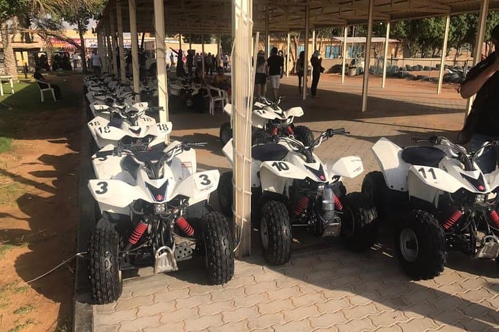 Dubai Red Dunes Desert Safari: Evening Dune Bashing, Sandboarding & BBQ photo 6