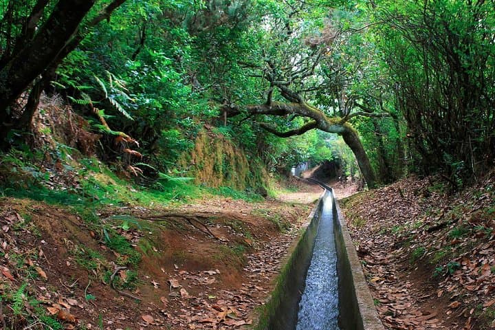 Ribeiro Frio to Portela Levada Walk: Madeira’s Classic 11km Guided Hike photo 1