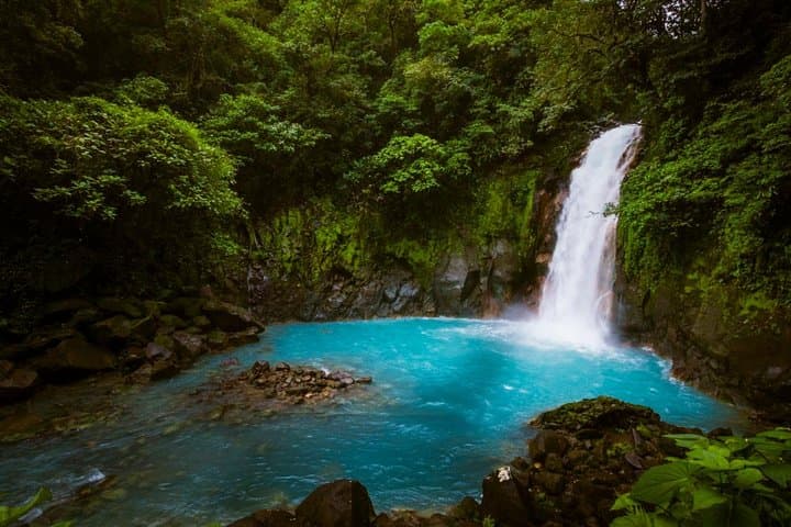 Rio Celeste Full-Day Hike to the Blue Waterfall and Tenorio Volcano photo 6