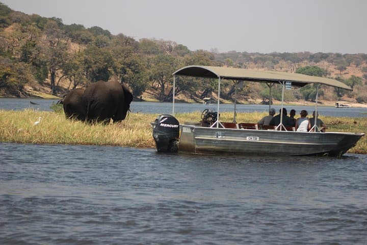 2-Day Camping Safari in Chobe National Park from Victoria Falls photo 5