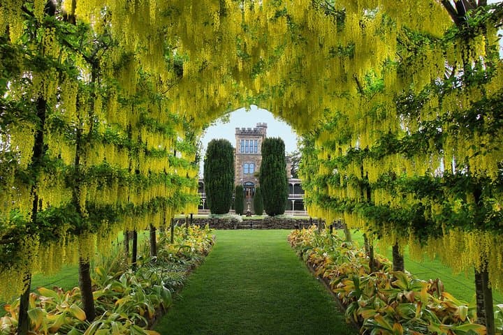 Inside Larnach Castle: Explore Otago Peninsula's Only Castle & Historic Gardens photo 3