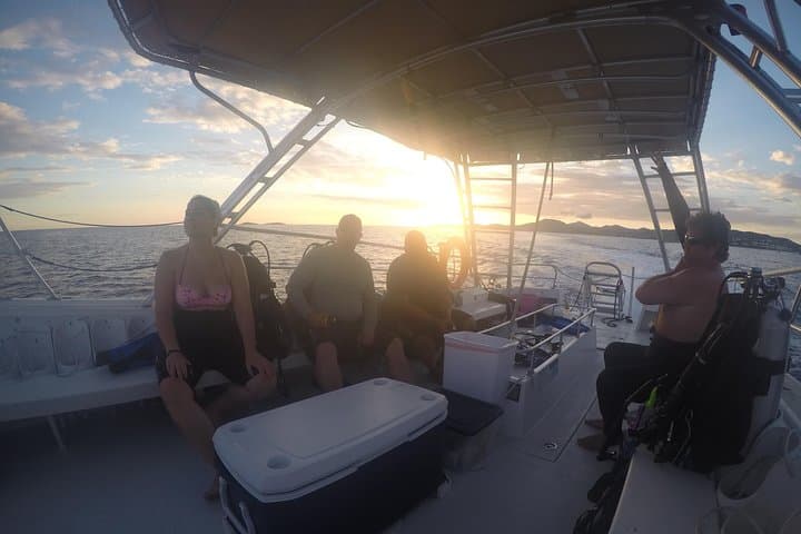 Sunset Night Dive in St. Thomas: Certified Diver Night Scuba Adventure photo 5