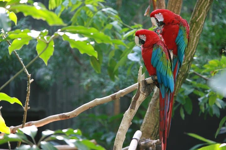 Palo Verde Tempisque River Boat Safari & Blue Zone Culture Tour photo 4