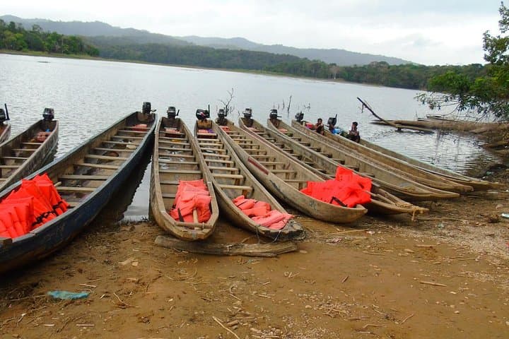 Embera Village Tour from Panama City — River Canoe & Cultural Immersion photo 3
