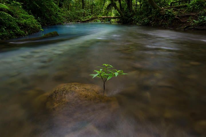 Rio Celeste & Tenorio Volcano Hike from La Fortuna — Blue River Trek with Lunch photo 3
