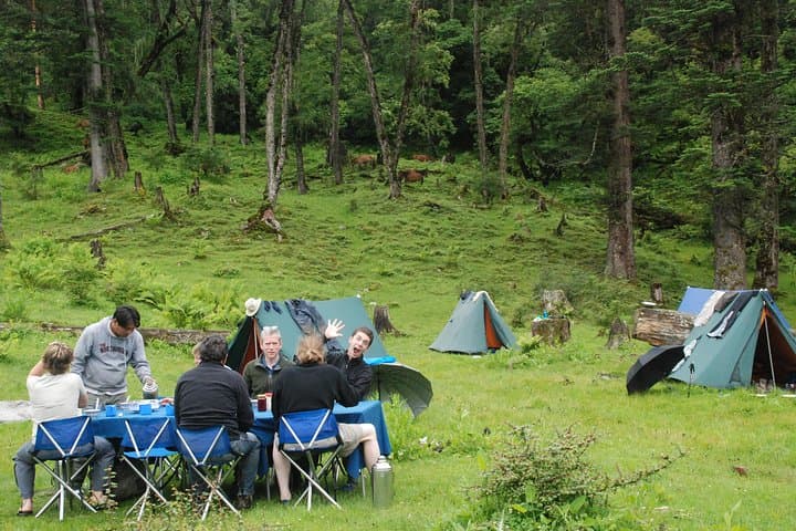 11-Day Bhutan Jomolhari Loop Trek to Jangothang Basecamp photo 4