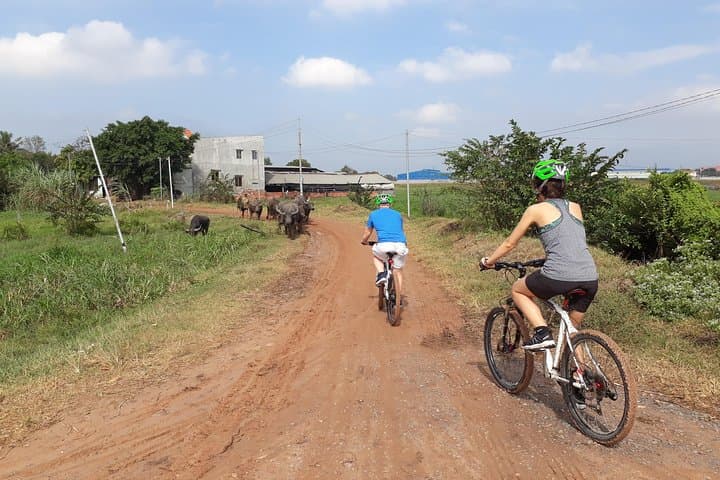 Cu Chi Tunnels by Bike: Full-Day Countryside Ride from Ho Chi Minh City photo 3