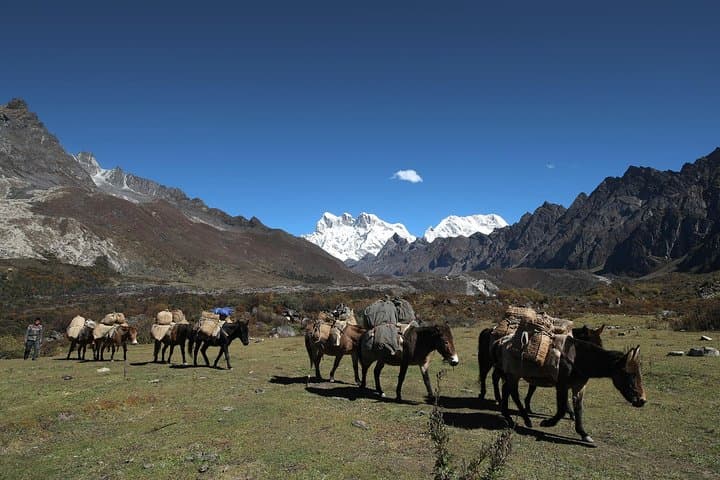 11-Day Bhutan Jomolhari Loop Trek to Jangothang Basecamp photo 6
