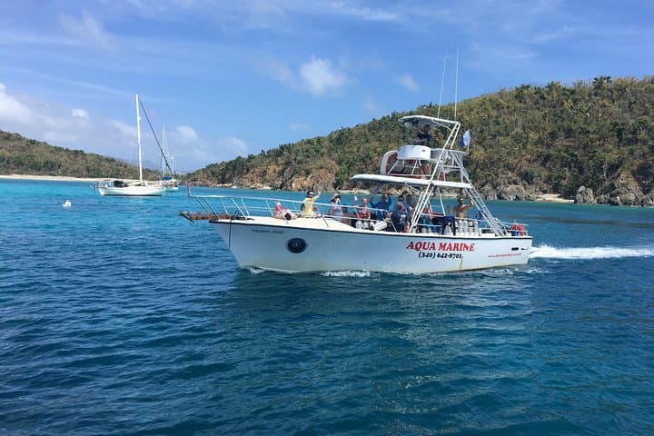Snorkel with Turtles in St. Thomas: Coral Reef & Shipwreck Tour photo 4