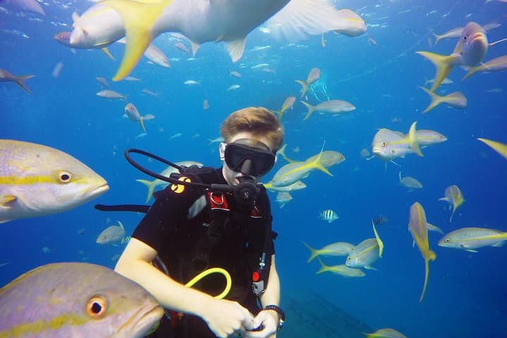 Two-Tank Certified Dives in St. Thomas: Reefs, Wrecks & Small-Group Boat Trips photo 6