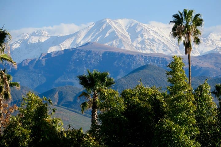 Anima Garden Marrakech: André Heller’s Botanical Escape by the Atlas photo 5