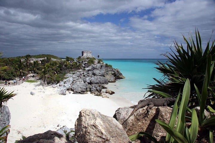 Tulum & Coba Full-Day Tour — Ruins, Cenote Swim and Playa del Carmen photo 3