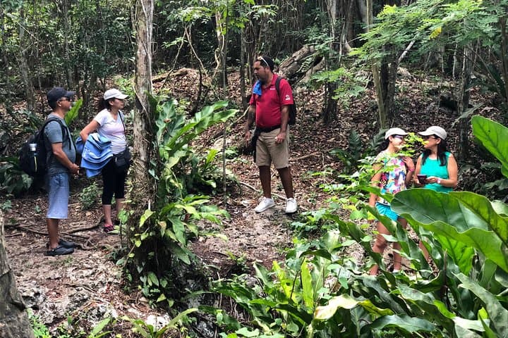 Cozumel Jungle Jeep to El Cedral Caves, Jade Cenote & Dzul Ha Snorkel photo 3