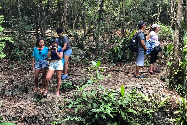 Cozumel Jungle Jeep to El Cedral Caves, Jade Cenote & Dzul Ha Snorkel photo 5