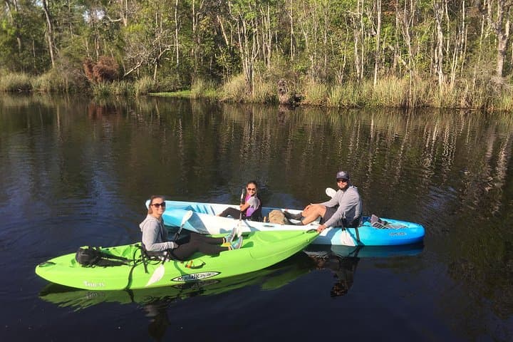 Self-Guided Kayaking on Amelia Island's Blackwater Creek — Real Florida Adventure photo 4