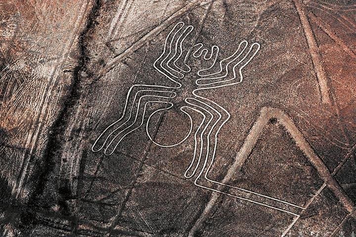 Nazca Lines Overflight from Huacachina: 35-Minute Cessna Flight to Ancient Geoglyphs photo 3