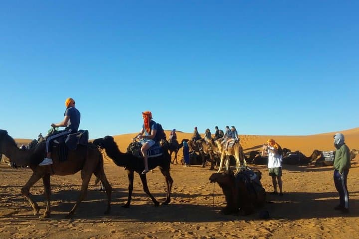 Zagora Desert Overnight: 2-Day Camel Trek to Tinfou Dunes from Marrakech photo 4