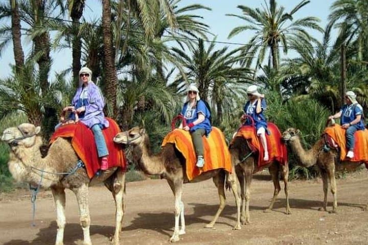 Sunset Camel Ride in Marrakech Palm Grove photo 2
