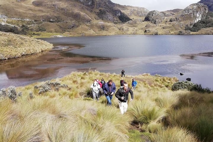 Cajas National Park Half-Day Hike From Cuenca — Lakes, Polylepis & High-Andean Views photo 6
