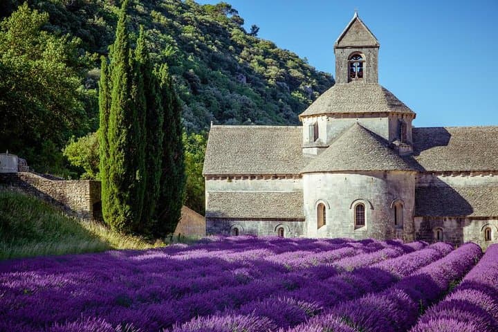 Half-Day Lavender Fields Tour from Avignon: Sault, Gordes & Sénanque