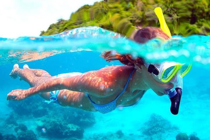 Full-Day Koh Tao & Koh Nang Yuan Speedboat Snorkel Trip from Koh Samui photo 2