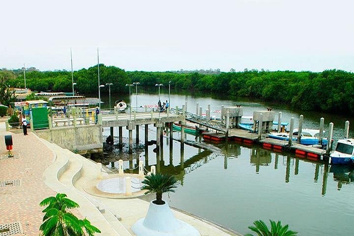 Dolphin Watching in Puerto El Morro: Day Cruise from Guayaquil photo 3