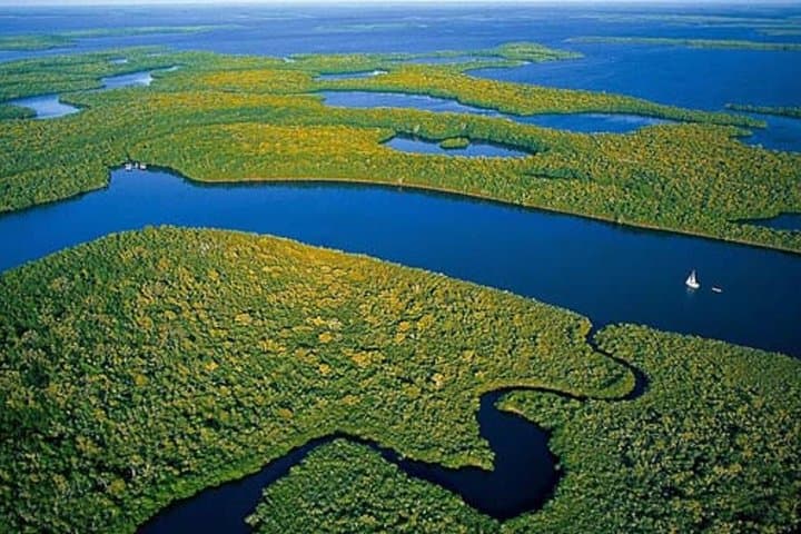 Private 4-Hour Everglades Airboat & Wildlife Tour from Miami