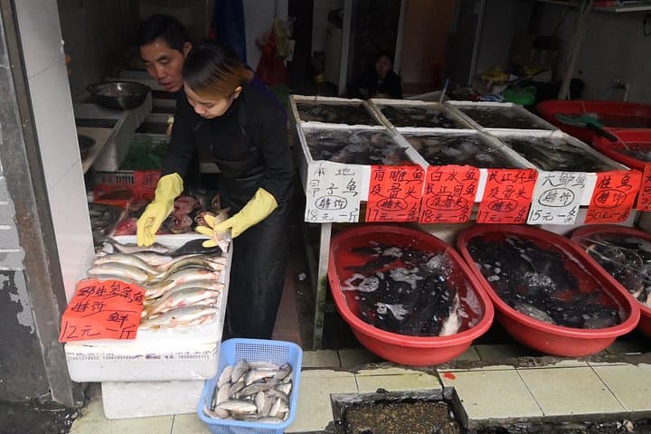 Shikumen Bike Tour: Half-Day Cycling Through Shanghai's Ancient Downtown & Local Eats photo 4